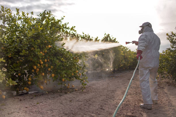  Stanford, KY Pest Control Pros